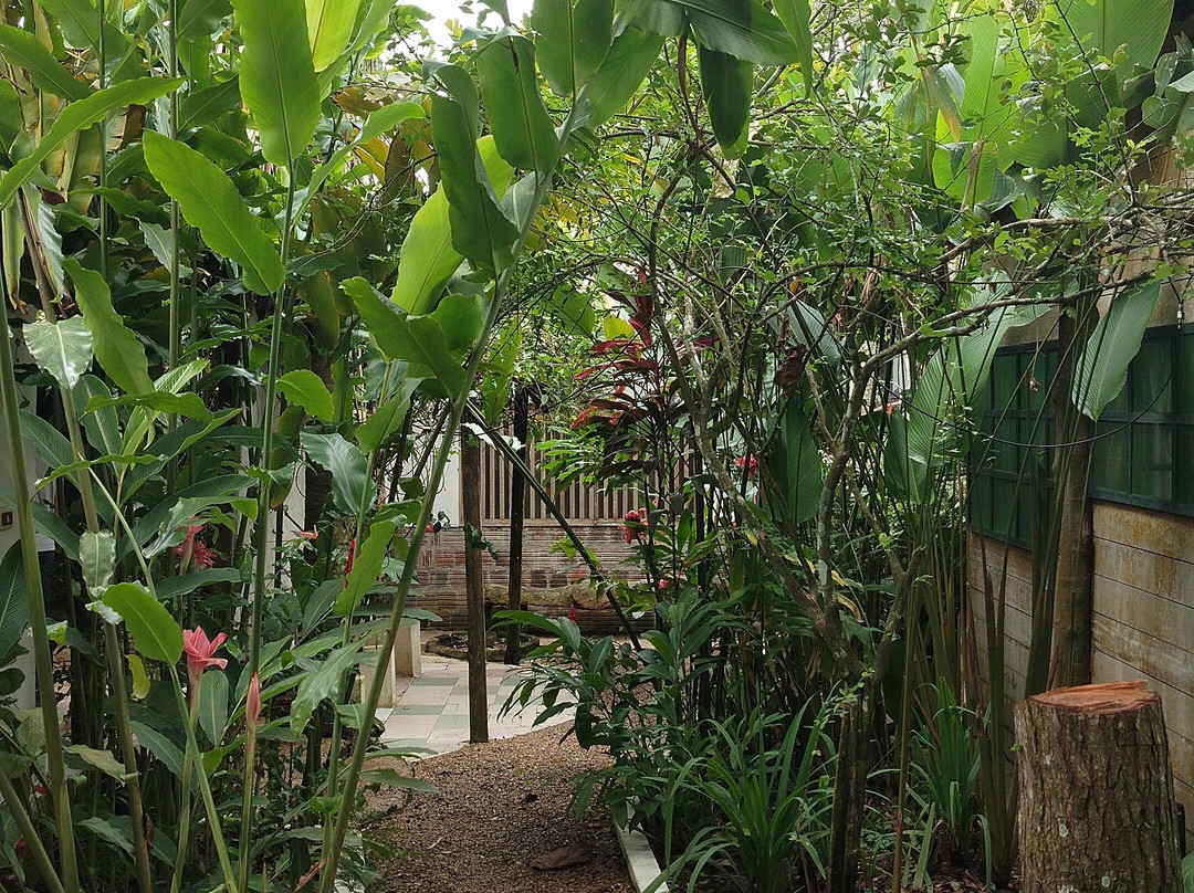 Hotel Malokamazonas主图