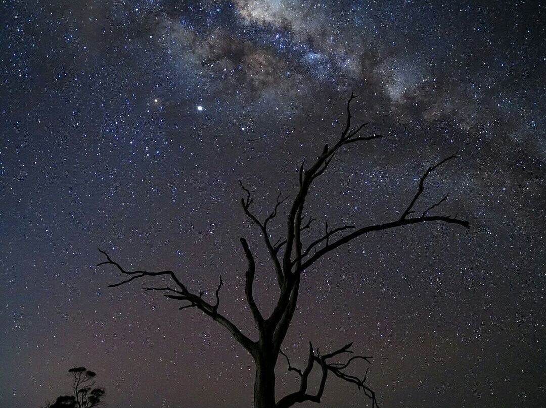 Caledon Estate-Richmond必去景点