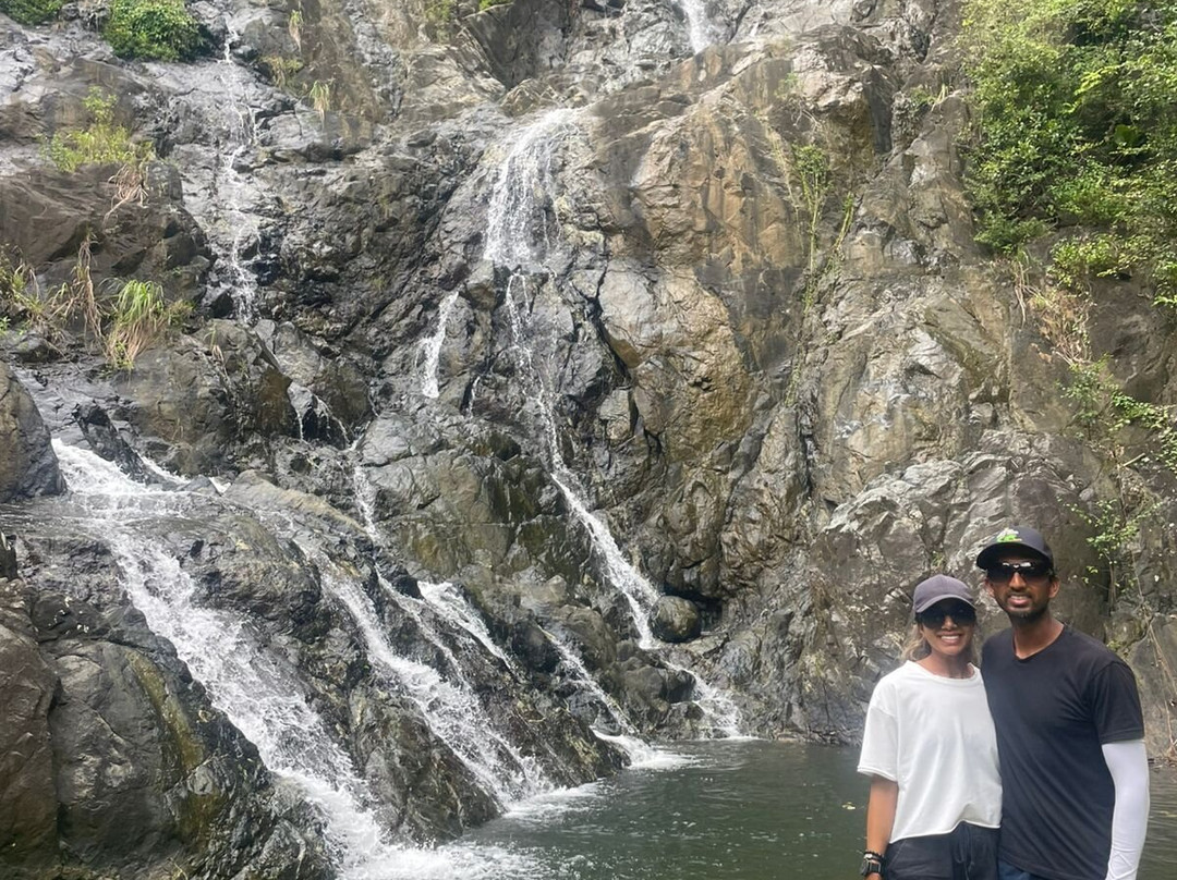 Dennison's Tourguiding Services-斯卡伯勒必去景点