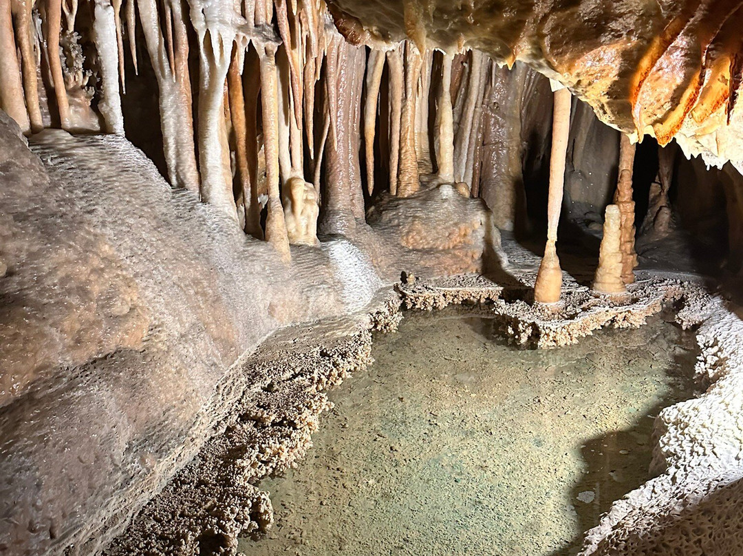 Fun Over Fifty-布里斯班必去景点