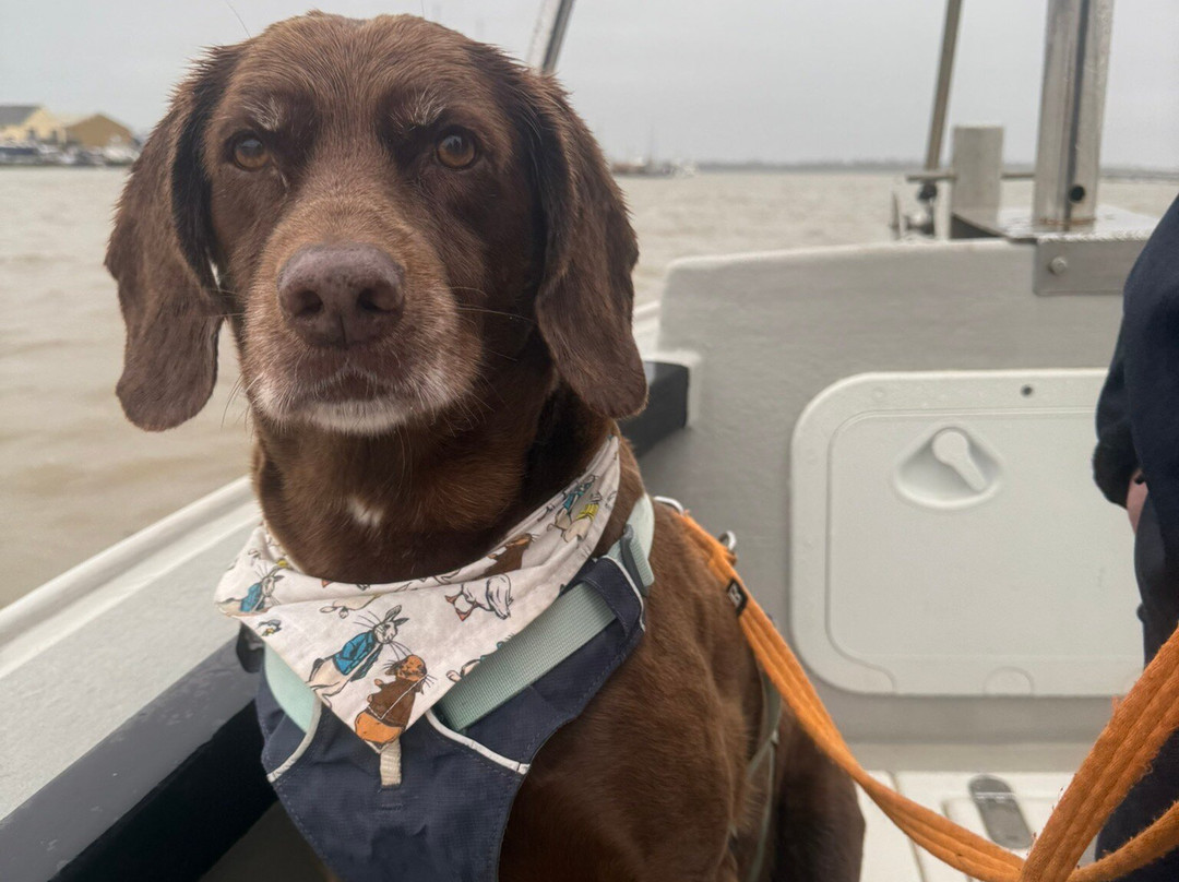 Lady Grace Essex Boat Trips-Brightlingsea必去景点