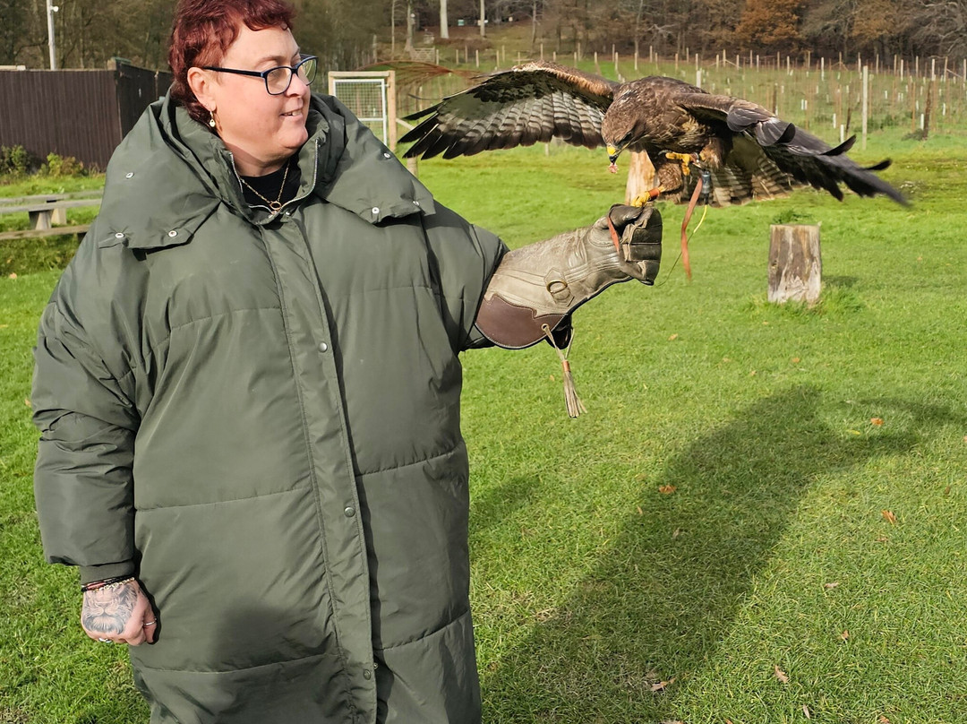 UK Owl And Raptor Centre-Groombridge必去景点