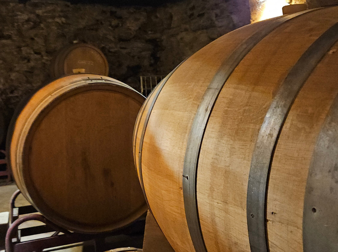 Celler Devinssi-Gratallops必去景点