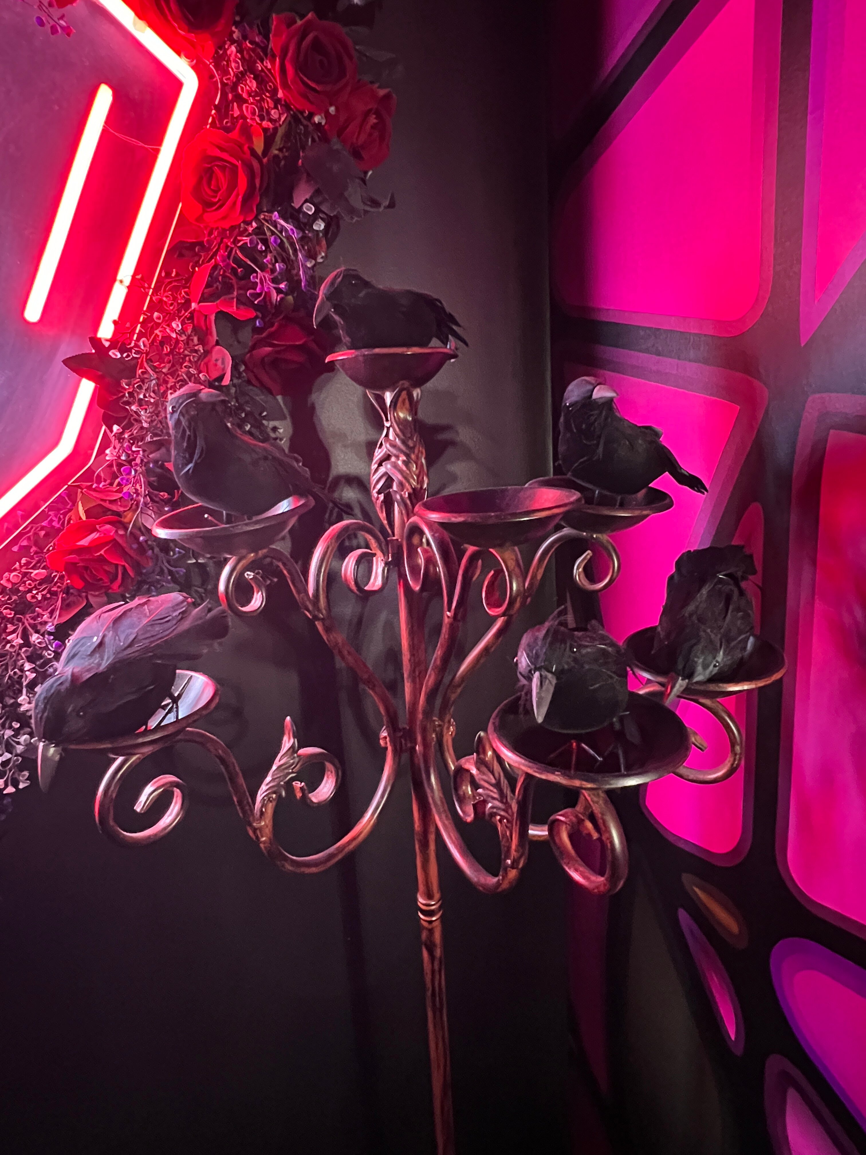 The Cove Hotel-官方