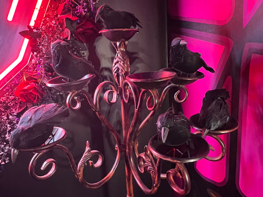 The Cove Hotel主图