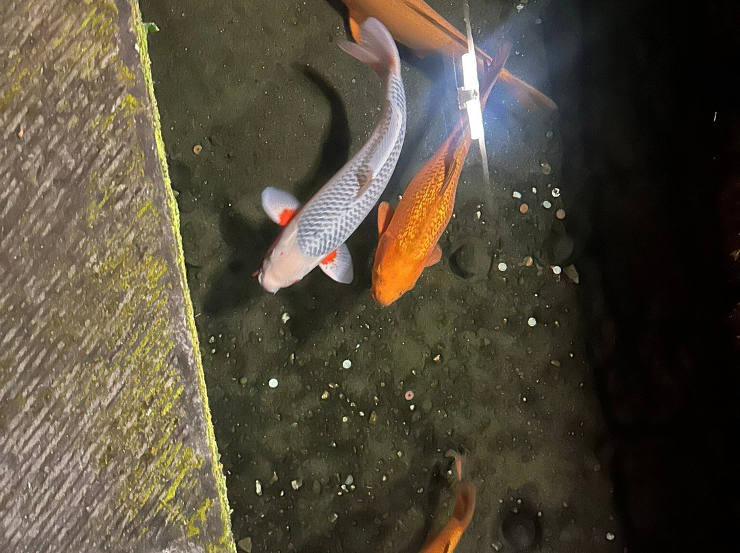 Obi-日南市必去景点