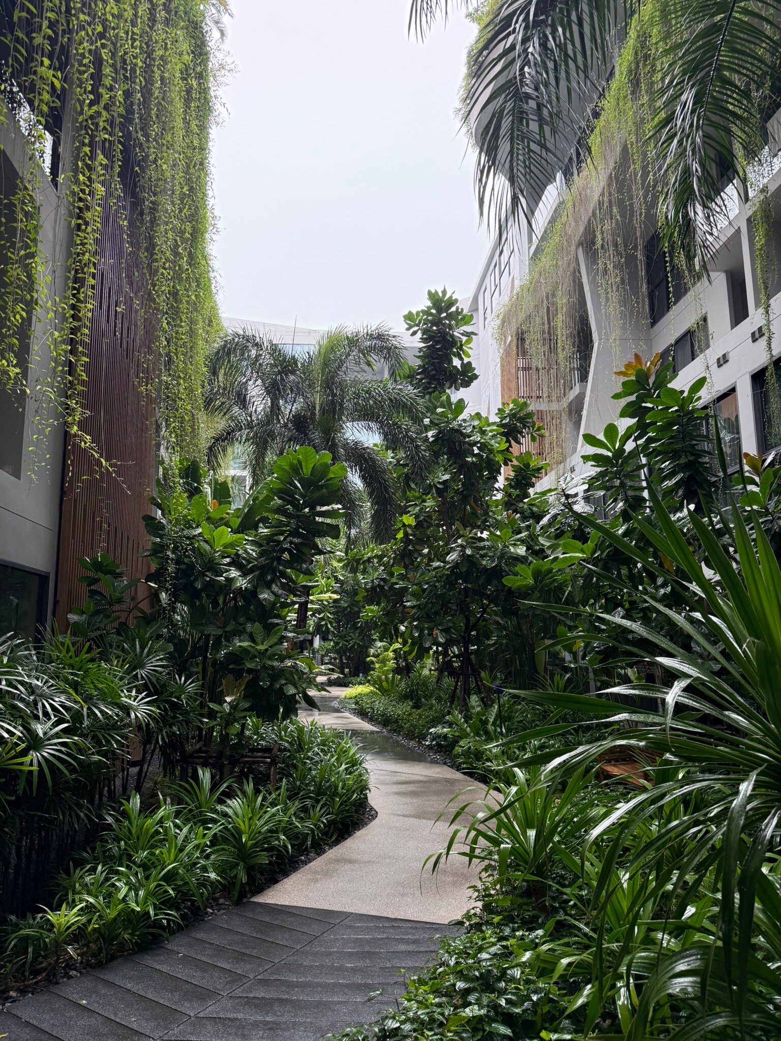 HOMA Phuket Town-官方