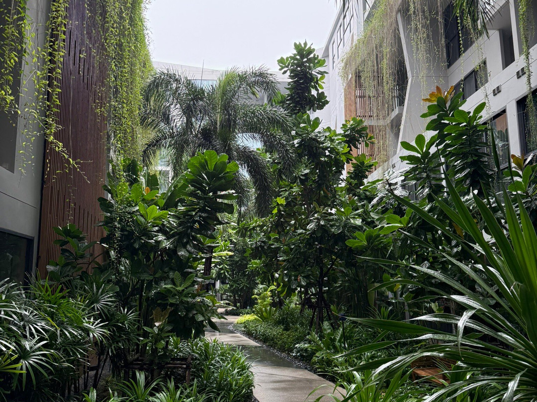 HOMA Phuket Town主图