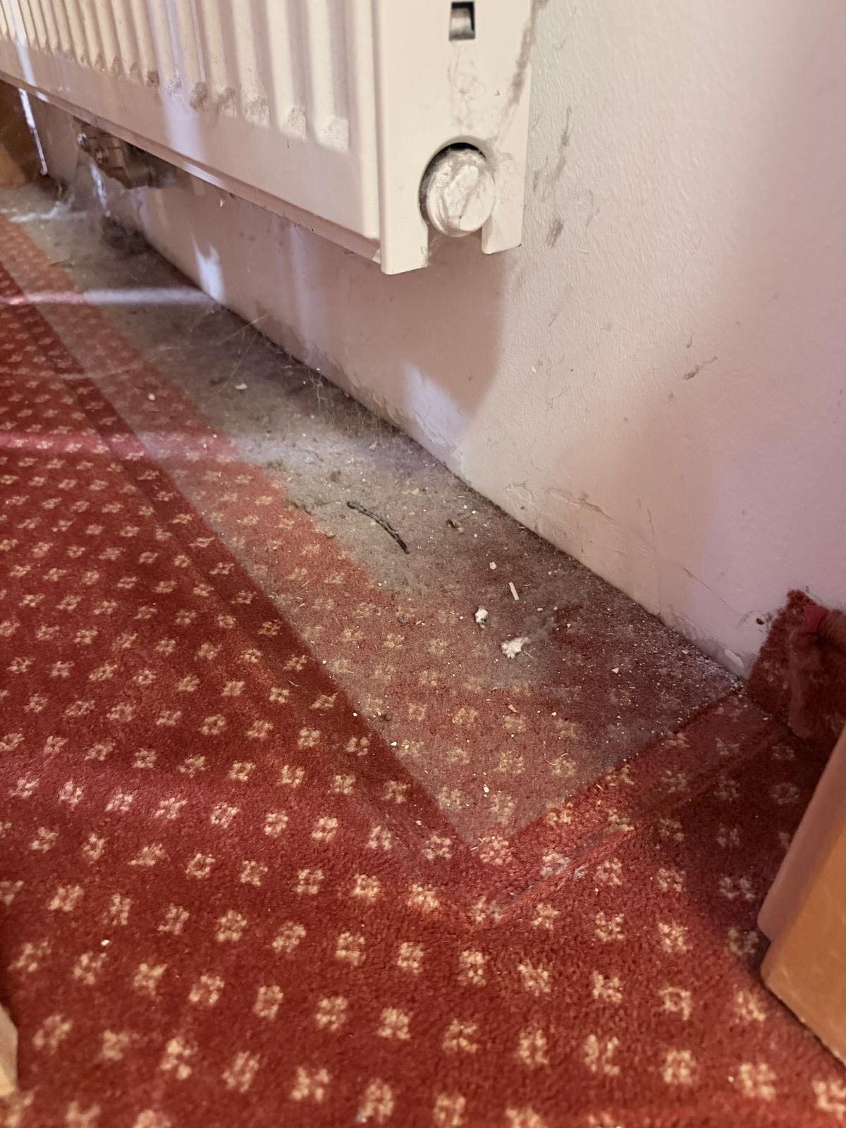 Chalet Dorfbäck-客卧