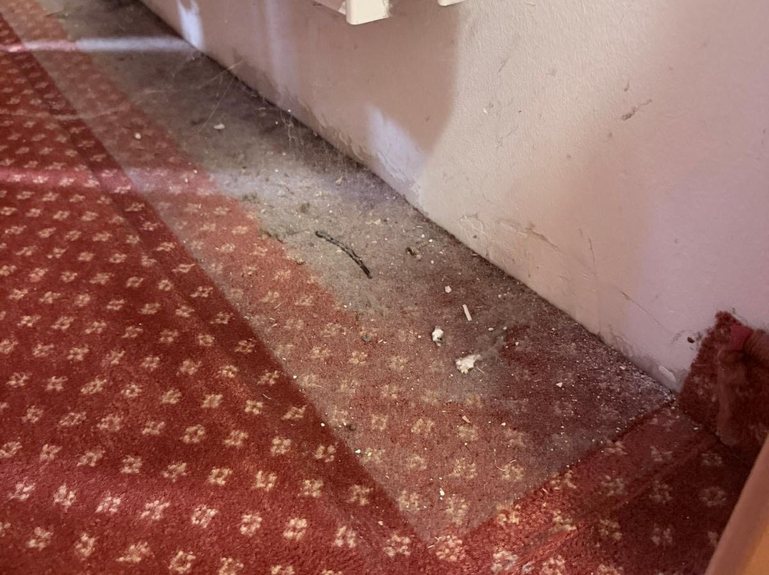 Chalet Dorfbäck主图