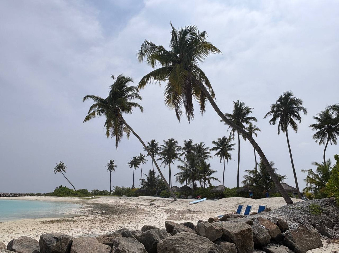 The Bilimbi Guesthouse & Inn主图