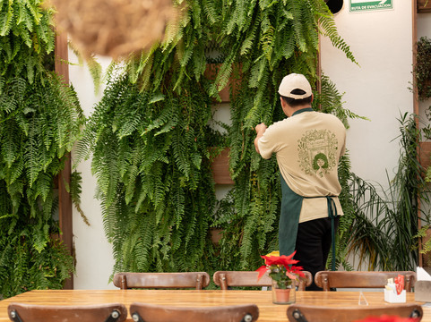 Arándano Restaurant