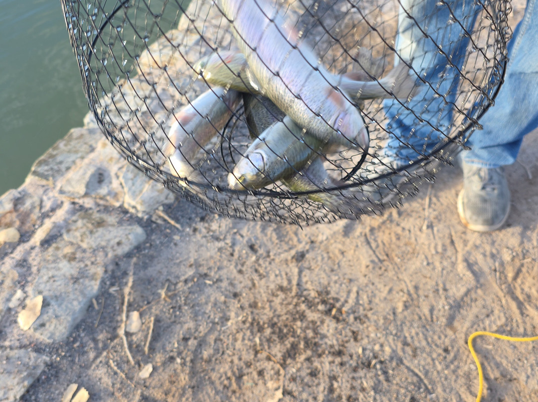 Isleta Lakes-Isleta必去景点