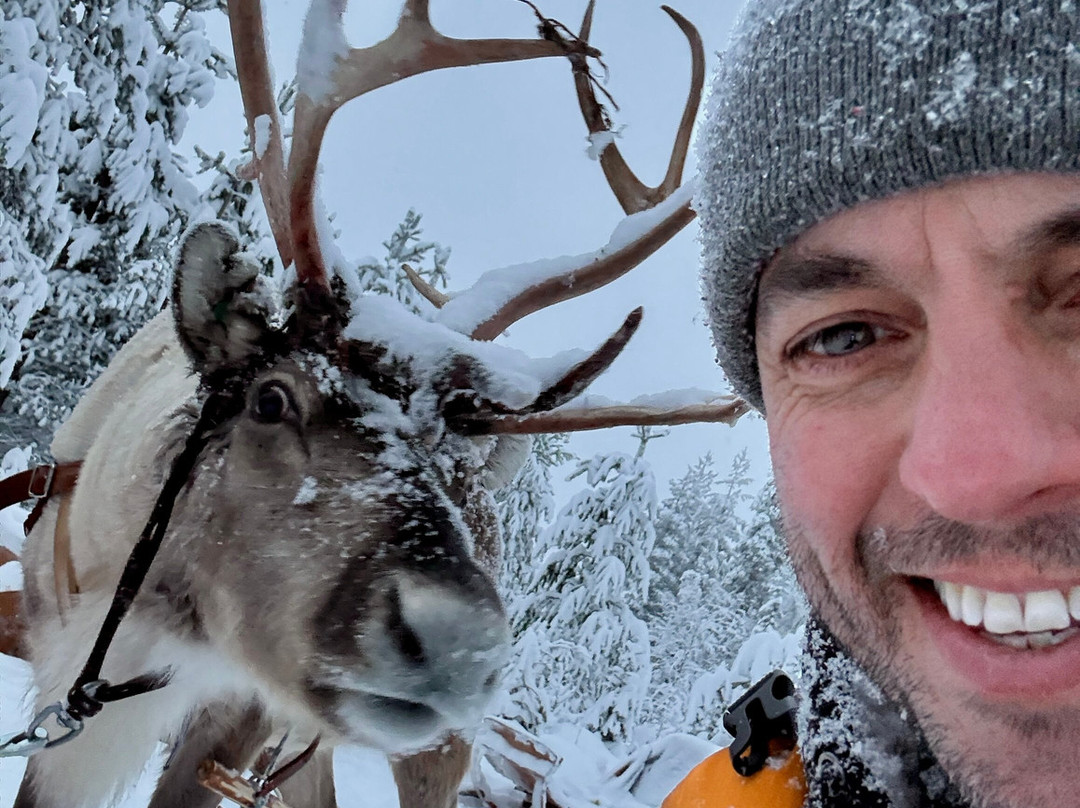 北极光度假村主图