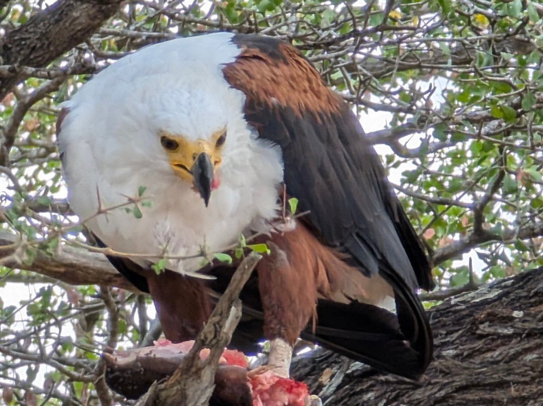 Travel with Deo-Mloka必去景点
