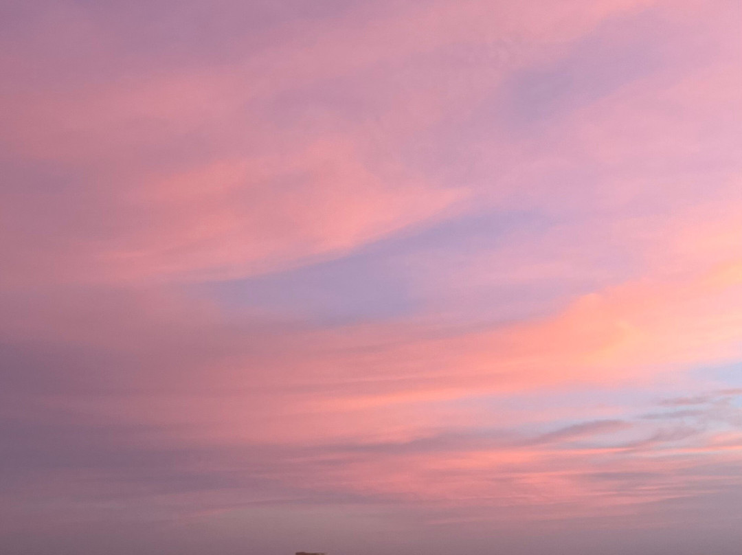 Jimmy Egypt Safari-Bawiti必去景点