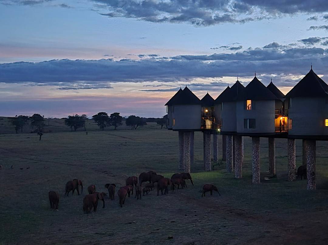 Ombre Tours & Safaris-瓦塔木必去景点