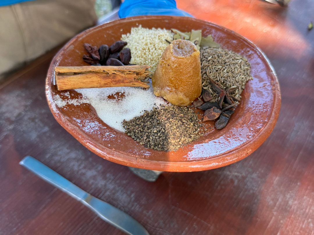 Vallarta Adventures-新瓦雅塔必去景点