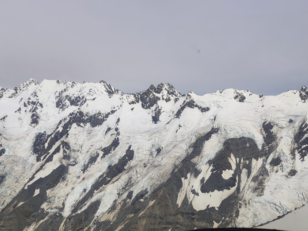 Kiwi Experience-奥克兰中心地区必去景点