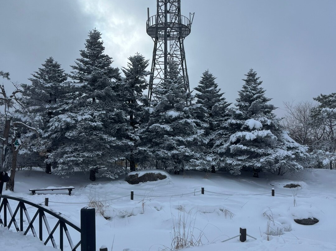 Phoenix Snow Park-平昌郡必去景点