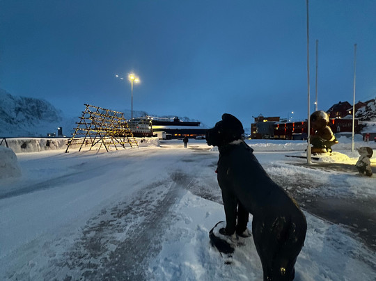 Bamse statue-霍宁斯沃格必去景点