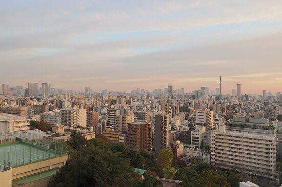 东京椿山庄酒店主图
