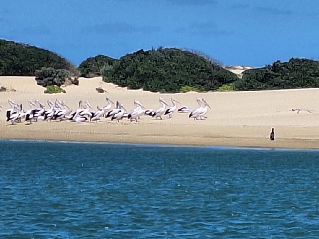 Spirit of the Coorong Cruises-Goolwa必去景点