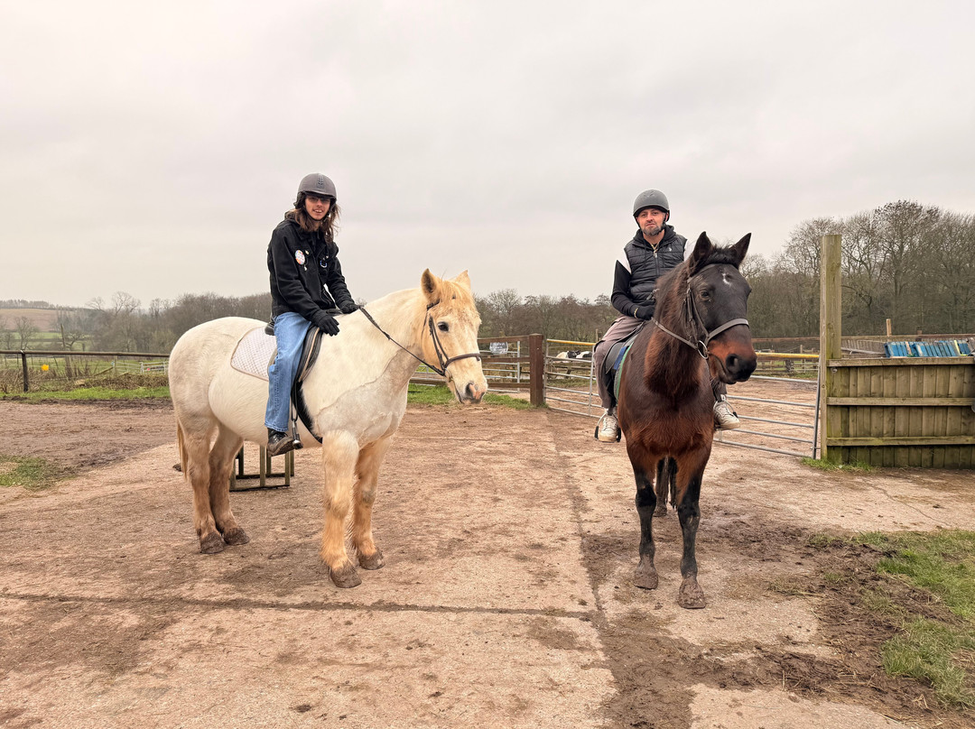 Charnwood Forest Alpacas-Boundary必去景点