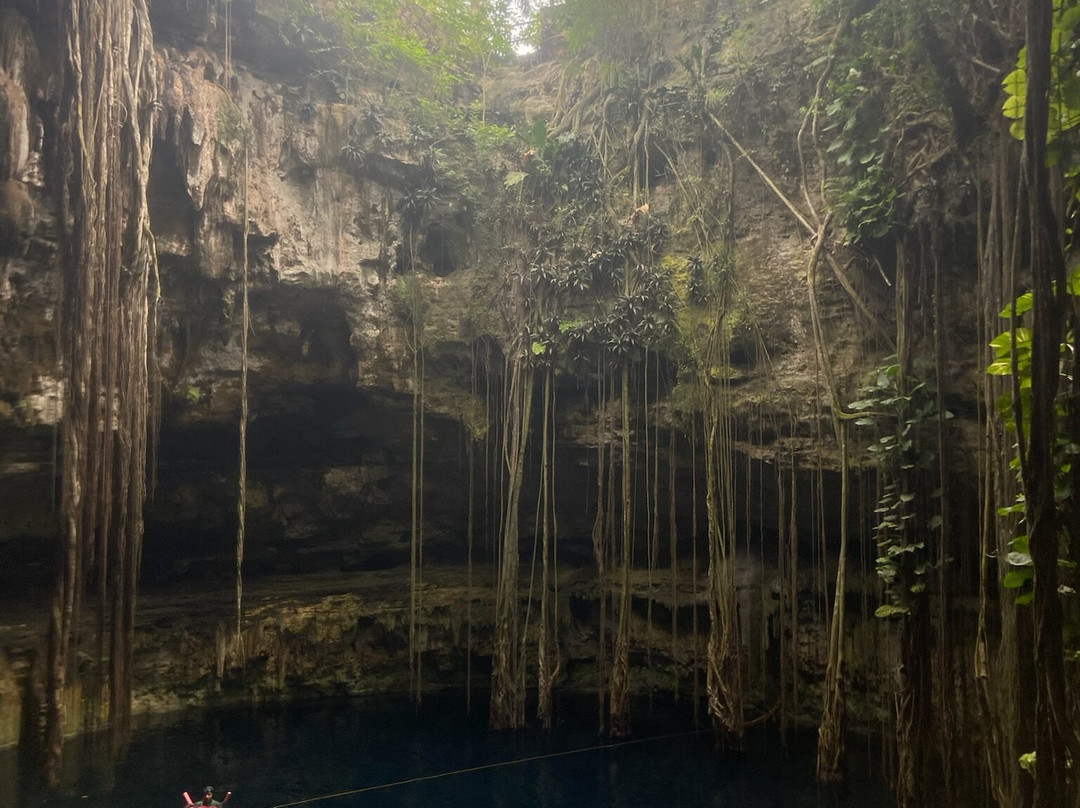 B Mexico Tours & Travel-普拉亚德尔卡曼必去景点