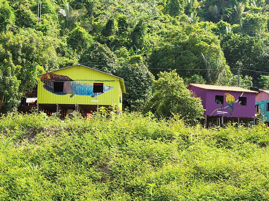 Boca de Valeria  Village-Ilha de Tinhare必去景点