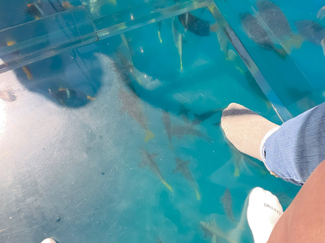 Envatours Cancun-坎昆必去景点