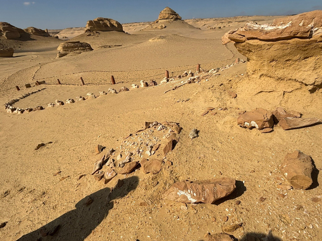 Explore Fayoum Tours-法尤姆必去景点