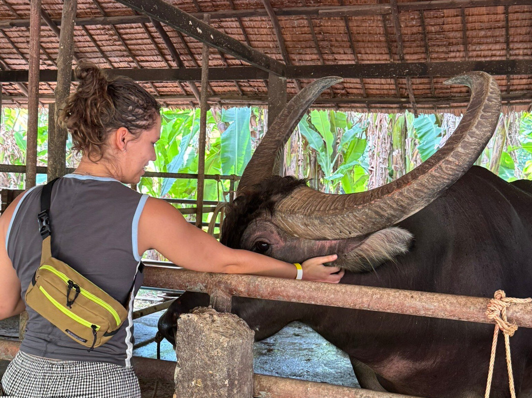 Old Phuket Farm-Thep Krasattri必去景点