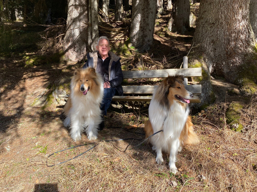 Sonnasita Natur.Genuss.Hotel主图