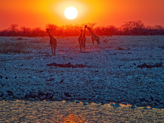 Okaukuejo waterhole-纳米比亚埃托沙国家公园必去景点