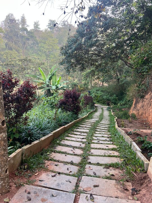 Coorg Marriott Resort & Spa-官方