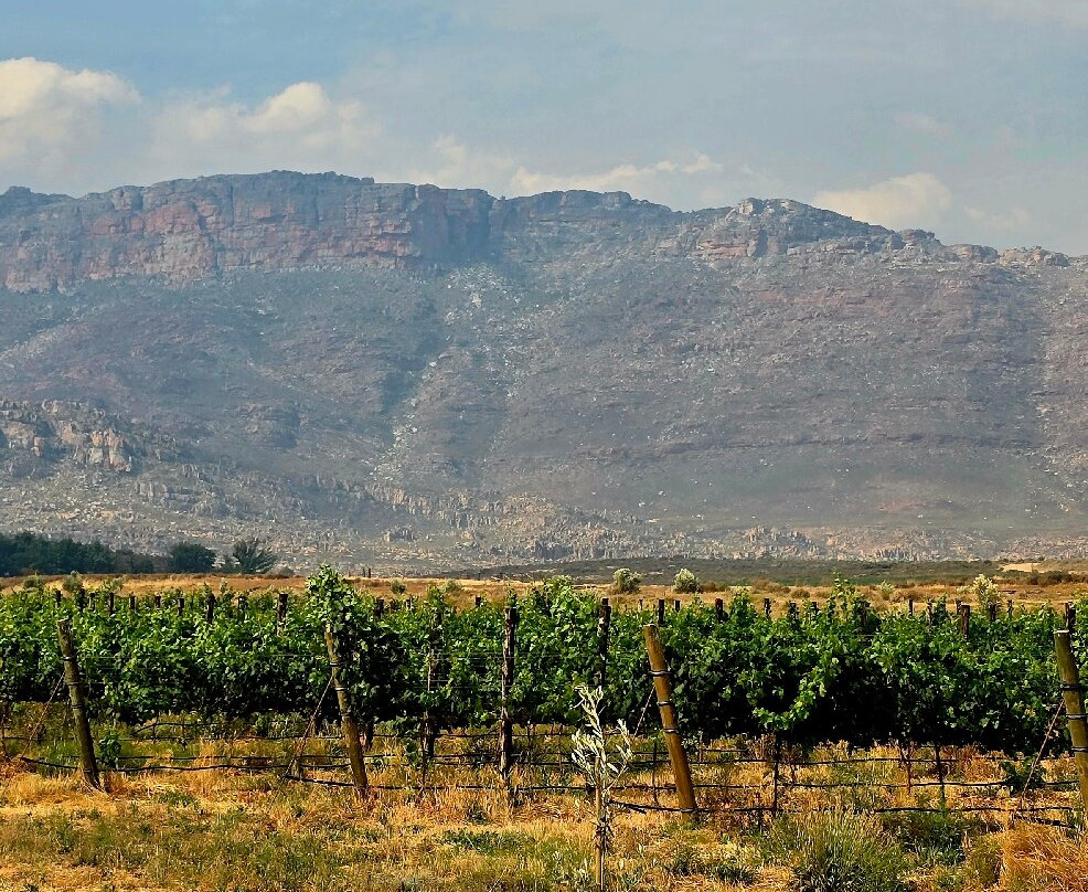 Cederberg Private Cellar-Cederberg必去景点