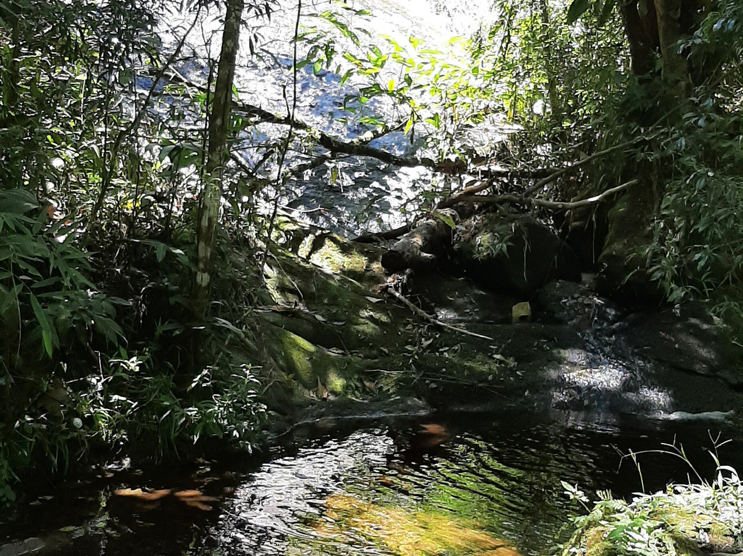 Parque Estadual da Serra do Mar-Cunha必去景点