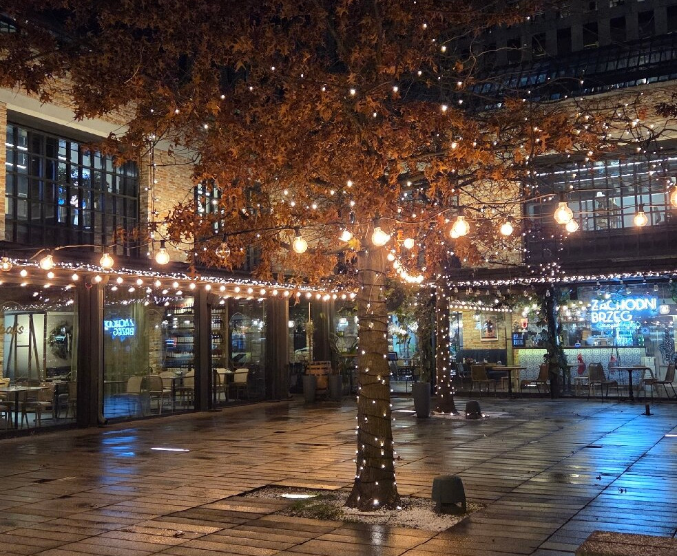 Hala Koszyki-华沙必去景点