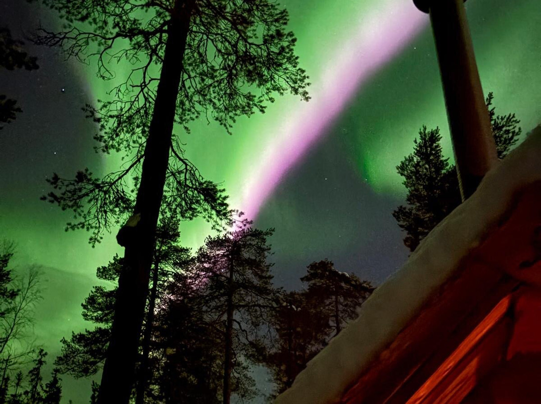 Lapland Safaris Luosto-Luosto必去景点