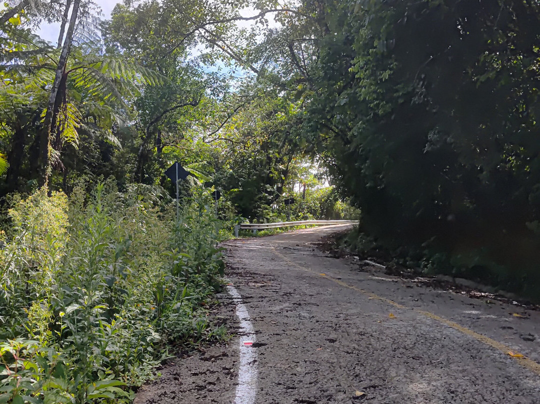 Morro das Antenas-Jaragua Do Sul必去景点