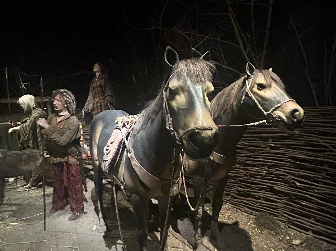Hull & East Riding Museum of Archaeology-赫尔河畔金斯顿必去景点