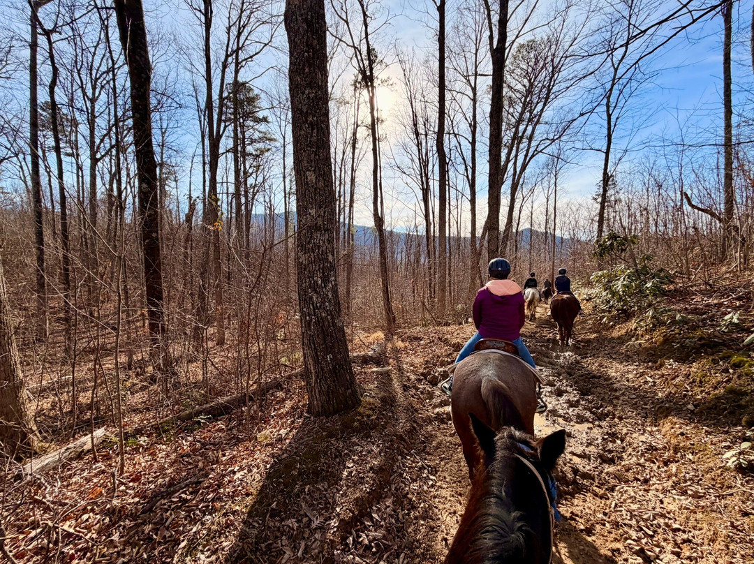 Sugarland Riding Stables-盖林柏格必去景点