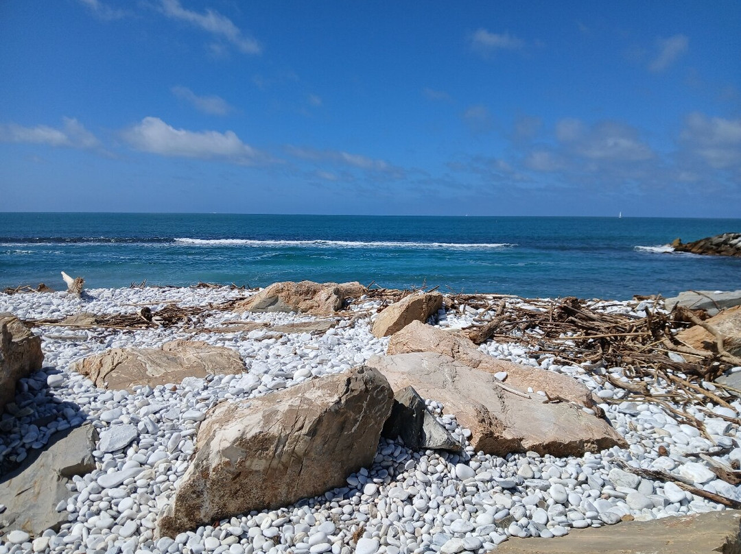 Scogli Marina di Pisa-Marina di Pisa必去景点