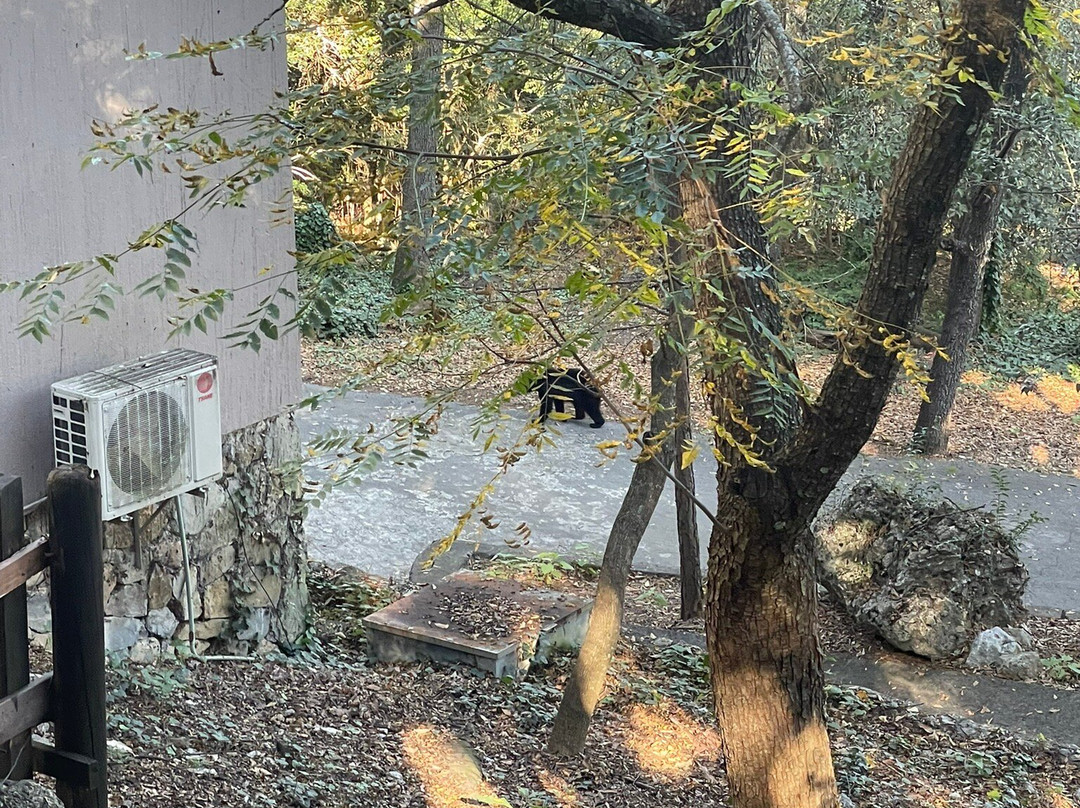 伊克罗杰克齐宾公园-圣佩德罗加尔萨加西亚镇必去景点