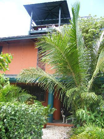 Buena Vista Villas