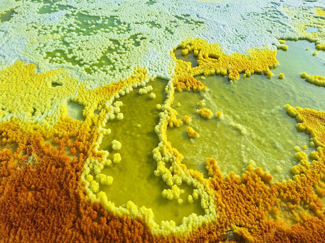 Simen Land Tours-亚的斯亚贝巴必去景点