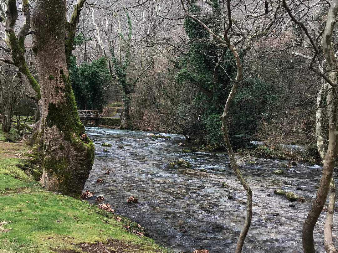 Nisi Margaritas Hotel主图