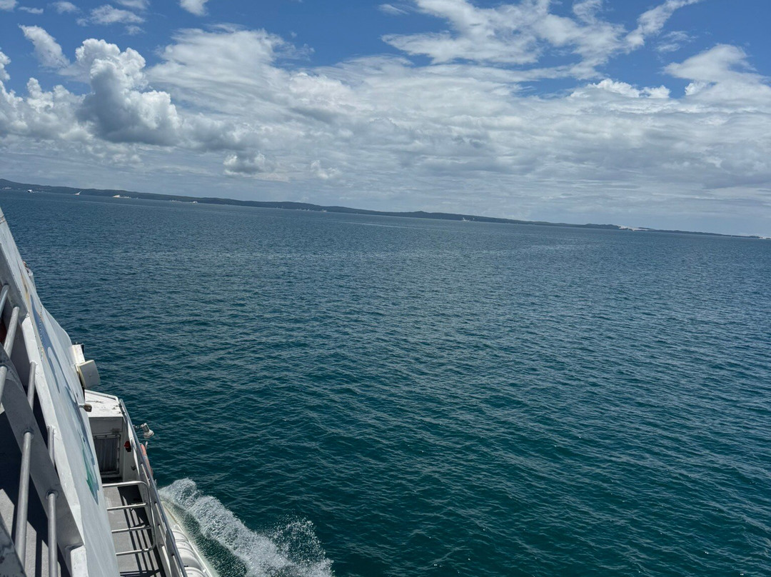 Tangalooma Wrecks-摩尔顿岛必去景点