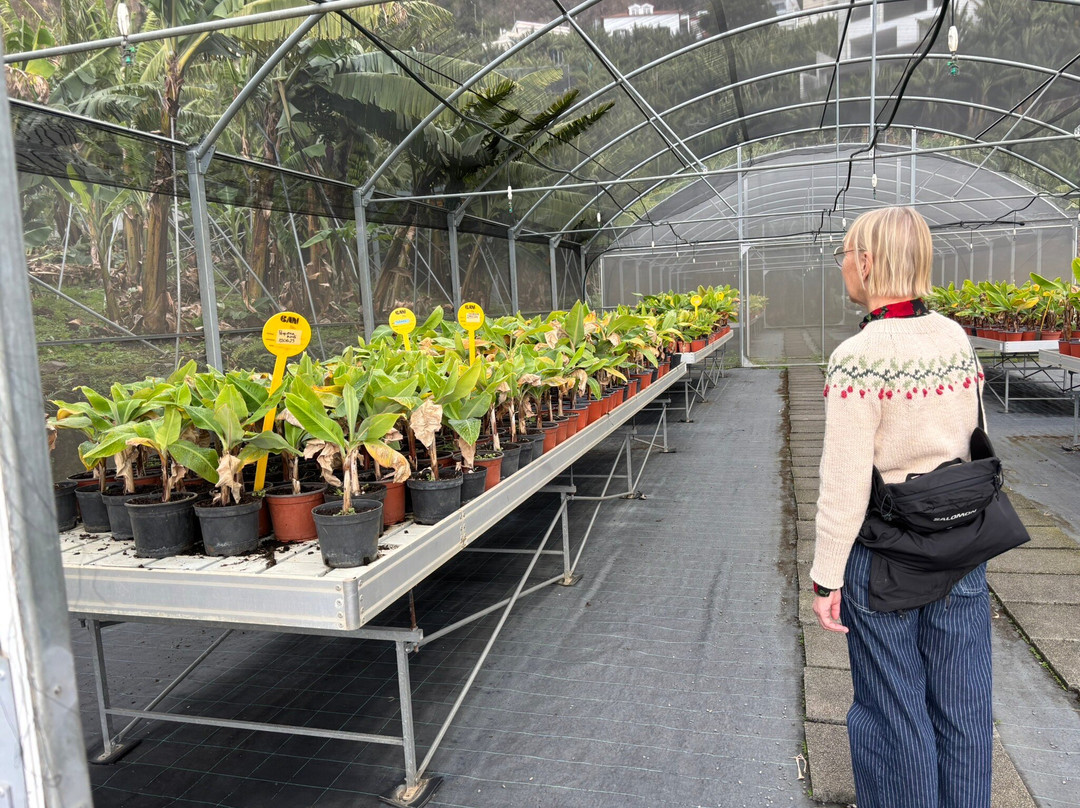 BAM - Centro Da Banana Da Madeira